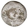 denar 1009-1014, Aw: Głowa w koronie w prawo, Rw