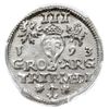 trojak 1593, Wilno, Iger V.93.1.a, Ivanauskas 5SV31-15, moneta w pudełku firmy PCGS z oceną MS 63,..