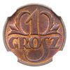 1 grosz 1925, Warszawa, Parchimowicz 101 b, moneta w pudełku firmy NGC z oceną MS 65 RB, piękny, p..