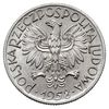 5 złotych 1958, Warszawa, Rybak”, Parchimowicz 58 a, odmiana z wąską cyfrą 8”, rzadki rocznik, pię..