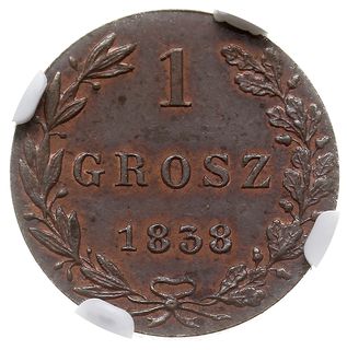 1 grosz polski 1838, Warszawa, Plage 251, Berezo