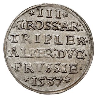 trojak 1537, Królewiec, Iger Pr.37.1.a (R), Bahr