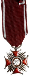 Srebrny Krzyż Zasługi, srebro, 41 x 41 mm, emali
