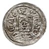 denar, 1146-1157, Aw: Książę z mieczem na tronie