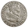 szóstak 1596, Malbork, odmiana z małą głową króla, bardzo ładny