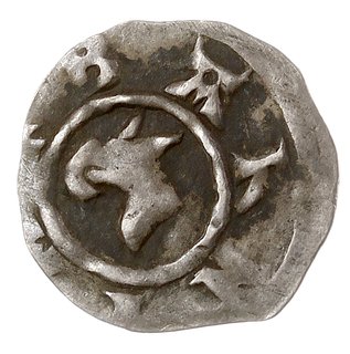 Barnim I 1264-1278, denar, Aw: Głowa gryfa w lewo, BARNIM, Rw: Ośmioramienna gwiazda, wokoło gwiazdki i krzyżyki, srebro 0.43 g, Dbg-P. 61, Kop. 4124 (R5), bardzo rzadki