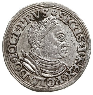 trojak 1532, Toruń, Iger T.32.1.a (R4), T. 18, na awersie ślady miejscowej ciemnej patyny, rzadki