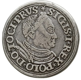 trojak 1534, Toruń, duża głowa króla w czepcu, o