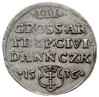 trojak 1536, Gdańsk, typ popiersia jak w roczniku 1535 - (szeroka głowa) - ale legenda SIGIS P ...., Iger G.36.1-/a (nie notuje tej ważnej odmiany awersu), rzadki