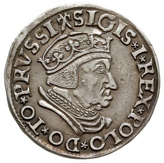trojak 1537, Gdańsk, korona królewska bez krzyżyka i na rewersie końcówka napisu GEDANEN, Iger G.37.2.e (R1) - ale na awersie nietypowa interpunkcja w postaci pięcioramiennych rozetek