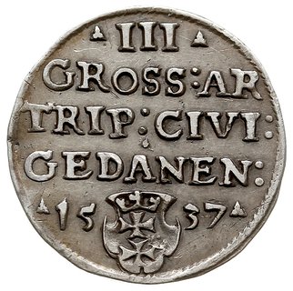 trojak 1537, Gdańsk, korona królewska bez krzyżyka i na rewersie końcówka napisu GEDANEN, Iger G.37.2.e (R1) - ale na awersie nietypowa interpunkcja w postaci pięcioramiennych rozetek