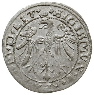 grosz na stopę litewską 1536, Wilno, odmiana bez litery pod Pogonią, Ivanauskas 2S42-12 i na awersie dwa trójlistki nad koroną, T. 7, piękny z bardzo ładnym lustrem menniczym