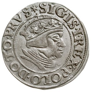 grosz 1538, Gdańsk, PN.13-Dut.182, ładny