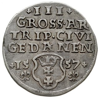trojak 1557, Gdańsk, popiersie króla bez obwódek i lilijki pod datą, Iger G.57.3.a (R4), bardzo rzadki