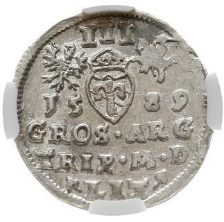 trojak 1589, Wilno, pod popiersiem herb Korczak (podskarbiego Macieja Wojny), Iger V.89.1.a (R5), Ivanauskas 5SV4-2, T. 25, moneta w pudełku NGC z certyfikatem AU 55, bardzo rzadki i ładny