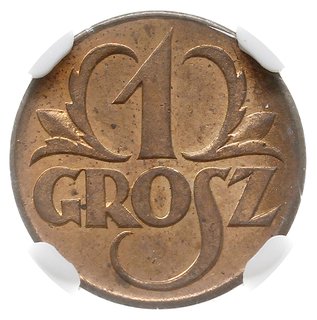 1 grosz 1923, Kings Norton, Parchimowicz 101.a, moneta w pudełku NGC z certyfikatem MS65 RB, piękne, w czerwonym odcieniu