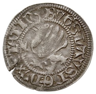 szeląg 1489, Gardziec, 1.30 g, Dbg-P. 377, ciemna patyna, pierwsza zachodnio-pomorska moneta z datą, rzadka
