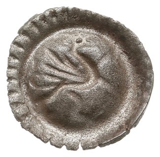 brakteat, Gryf w lewo, 0.18 g, Jesse 209, kolekcja Gaettensa 1238, rzadki i ładnie zachowany