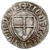 Winrych von Kniprode 1351-1382, szeląg, Aw: Tarcza Wielkiego Mistrza, MAGST WVNRICS PRIMS, Rw: Tar..