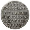 trojak 1534, Toruń, duża głowa króla w czepcu, ozdobna kryza, Iger T.34.2.a (R4), T. 18, rzadki