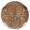 1 grosz 1923, Kings Norton, Parchimowicz 101.a, moneta w pudełku NGC z certyfikatem MS65 RB, piękn..