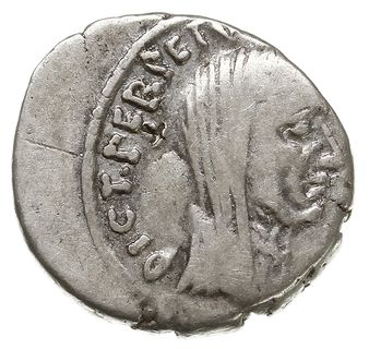denar 44 pne, Rzym, Aw: Popiersie Cezara w chuśc