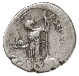 denar 44 pne, Rzym, Aw: Popiersie Cezara w chuśc
