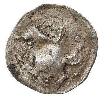 parwus, Aw: Lew w stylu czeskim kroczący w lewo, Rw: Lew kroczący w lewo, srebro 0.35 g, niezwykle ciekawa moneta nie notowana w literaturze, wskazująca stylistyką na mennictwo śląskie przełomu XIII i XIV wieku
