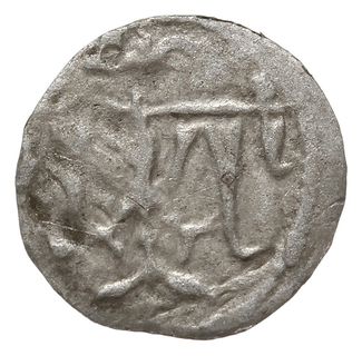 denar 1370-1382, Kraków, Aw: Tarcza andegaweńska