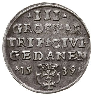trojak 1539, Gdańsk, na rewersie interpunkcja w postaci trójlistków, Iger G.39.1.j (R1)