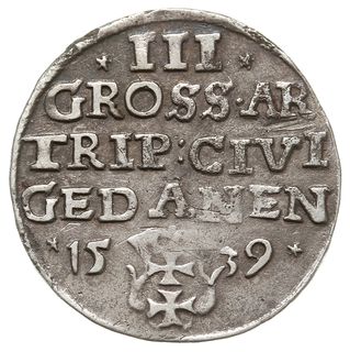 trojak 1539, Gdańsk, na rewersie interpunkcja w formie małych gwiazdek, Iger G.39.1.k (R1), patyna