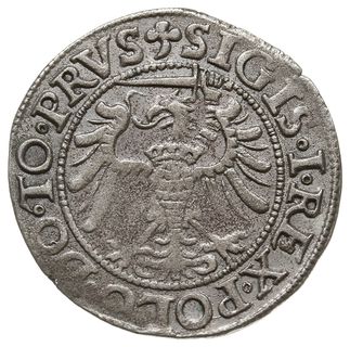 grosz 1539, Elbląg, na awersie PRVS, miecz z prawej strony Orła, na rewersie gwiazda po dacie, PN.13-Dut.140