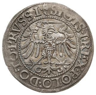 grosz 1540, Elbląg, na awersie PRVSSI, na rewersie rozeta po dacie, PN.13-Dut.151, dość ładny