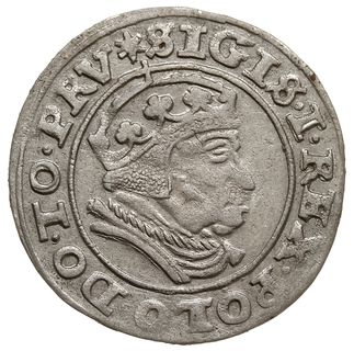 grosz 1540, Gdańsk, PN.13-Dut.190, bardzo ładny