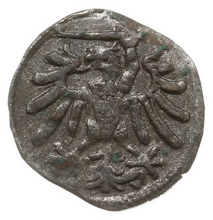 denar 1546, Gdańsk, odmiana z szerokimi krzyżami w herbie, Slg. Marienburg 7931, Kop. 7259 (R4), Tyszk. 8, rzadki i bardzo ładny