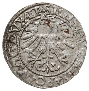 półgrosz 1562, Wilno, rzadsza odmiana z herbem Topór na rewersie, końcówki napisów LI / LITV, Cesnulis/Ivanauskas 4SA126-33 (RRR), ładnie zachowany