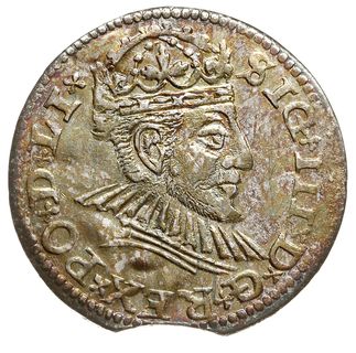 trojak 1590, Ryga, odmiana z mniejszym popiersiem króla, Iger R.90.1.e, Gerbaszewski 24, moneta wycięta z krawędzi blachy, patyna, ładny