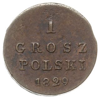 1 grosz polski 1829, Warszawa, Plage 222, Bitkin 1057, moneta z końca blachy, ale pięknie zachowana