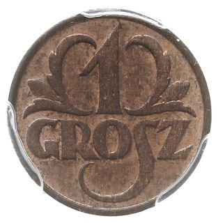 1 grosz 1933, Warszawa, Parchimowicz 101.h, moneta w pudełku PCGS z notą MS64 RB, piękne z naturalnym kolorem miedzi pod patyną