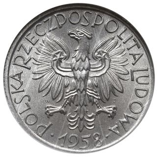5 złotych 1958, Warszawa, Rybak”, odmiana z wąsk