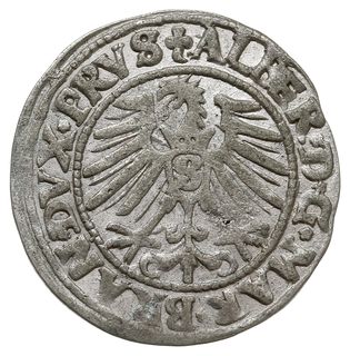 grosz 1548, Królewiec, Bahrf. 1205, Vossberg 1399, na awersie miejscowa zielonkawa patyna, ładny, rzadko spotykany rocznik