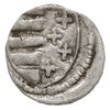 denar 1370-1382, Kraków, Aw: Tarcza andegaweńska, Rw: Orzeł heraldyczny z głową w lewo, Gum.H. 372..