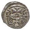 denar 1555, Elbląg, Gum.H. 654, Kop. 7099 (R3), Tyszk. 7, patyna, piękny