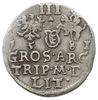 trojak 1581, Wilno, bardzo rzadki typ monety - z listkiem (znakiem mennicy winleńskiej) nad herbem..