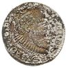 trojak 1588, Olkusz, odmiana z dużą głową króla, Iger O.88.6.c/a(R3), patyna, wyśmienicie zachowan..