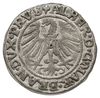 grosz 1546, Królewiec, końcówka napisu na rewersie PRVS, Bahrf. 1201, Vossberg 1394, nieco rzadszy..