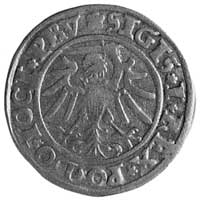 grosz 1535, Elbląg, Aw: Orzeł i napis, Rw: Herb 