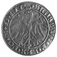 grosz 1536, Wilno, Aw: Orzeł i napis, Rw: Pogoń i napis, Kop.I.2a -R-, T.7