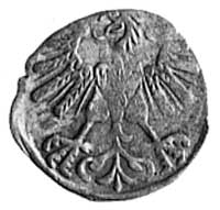 denar 1560, Wilno, Aw: Orzeł, Rw: Pogoń i data, 
