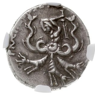 denar 40-39 pne, mennica na Sycylii, Aw: Galera ze statuą Neptuna i aquilą na dziobie, wokoło fragment napisu, Rw: Potwór Scylla (pół człowiek, pół postać złożona z trzech psów i dwóch węży) w lewo, zamachujący się trzymanym sterem, wokoło fragment napisu, Craw. 511/4a, Syd. 1348, srebro 3.87 g, moneta w pudełku firmy NGC z oceną XF 4/5 i 5/5